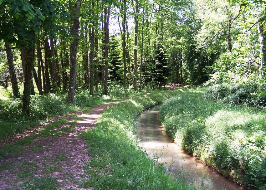 Arboretum de Cardeilhac, Cardeilhac, France, France
